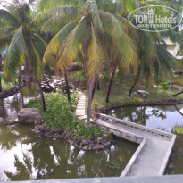 фото из отзыва ID 1696697