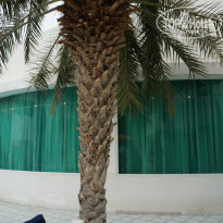 фото из отзыва ID 1696717