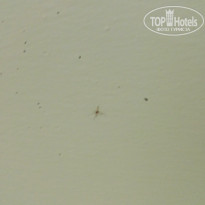 фото из отзыва ID 1696834