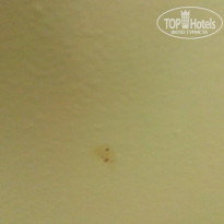 фото из отзыва ID 1696834