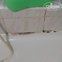 фото из отзыва ID 1696834