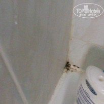 фото из отзыва ID 1696834