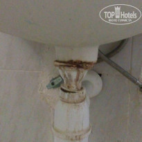 фото из отзыва ID 1696834