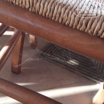 фото из отзыва ID 1696834