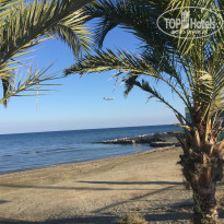 фото из отзыва ID 1696910