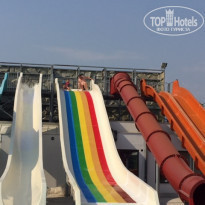 фото из отзыва ID 1696919