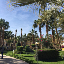 фото из отзыва ID 1696923