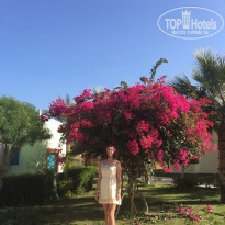 фото из отзыва ID 1696923