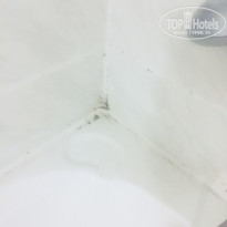 фото из отзыва ID 1696962