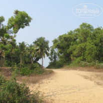 фото из отзыва ID 1697119