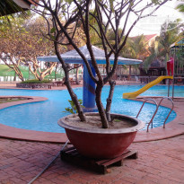 фото из отзыва ID 1697394