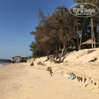 фото из отзыва ID 1697419