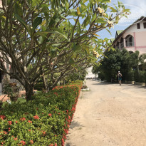 фото из отзыва ID 1697454