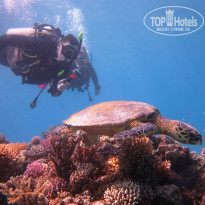 фото из отзыва ID 1697488