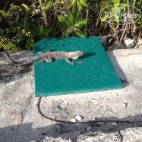 фото из отзыва ID 1696678