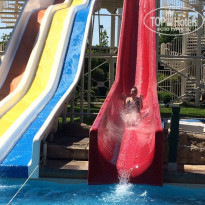 фото из отзыва ID 1697597