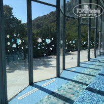 фото из отзыва ID 1697628