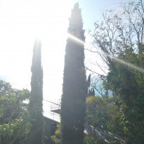 фото из отзыва ID 1697628