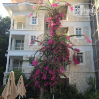 фото из отзыва ID 1697647