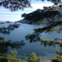 фото из отзыва ID 1697647