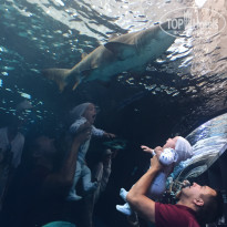 фото из отзыва ID 1697666