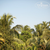 фото из отзыва ID 1697803