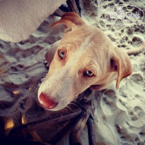 фото из отзыва ID 1697803