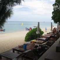 фото из отзыва ID 1697827