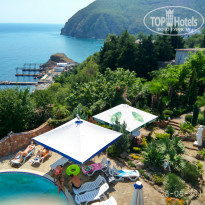 фото из отзыва ID 1696781