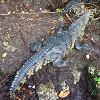 фото из отзыва ID 1696678