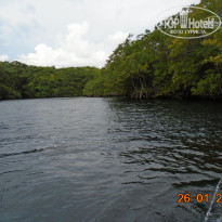 фото из отзыва ID 1696678