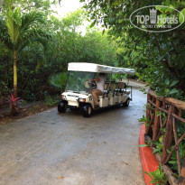 фото из отзыва ID 1696678