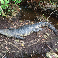 фото из отзыва ID 1696678