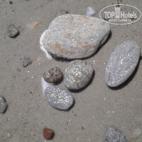 фото из отзыва ID 1698026