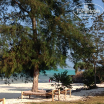 фото из отзыва ID 1698050