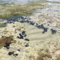 фото из отзыва ID 1698050