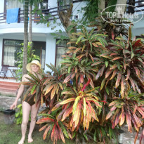 фото из отзыва ID 1698156