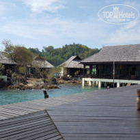 фото из отзыва ID 1698194