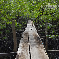 фото из отзыва ID 1698194