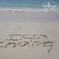 фото из отзыва ID 1698194