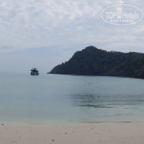 фото из отзыва ID 1698194