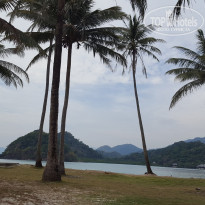 фото из отзыва ID 1698194