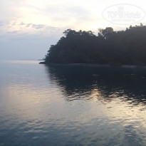 фото из отзыва ID 1698194