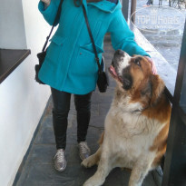 фото из отзыва ID 1698279