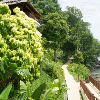 фото из отзыва ID 1698344