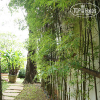 фото из отзыва ID 1698344