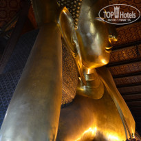 фото из отзыва ID 1698364