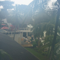 фото из отзыва ID 1698344