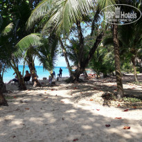 фото из отзыва ID 1698539