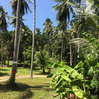 фото из отзыва ID 1698813